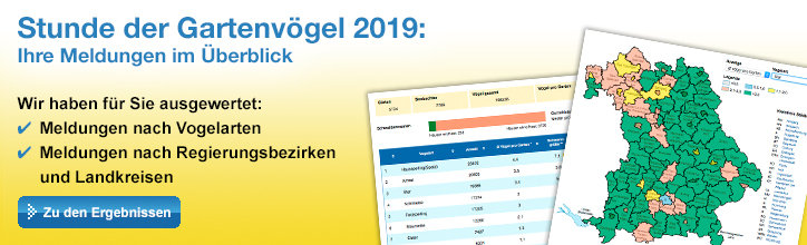 Zu den Ergebnissen